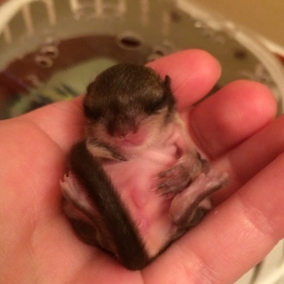 Meet your Posher, Maria - Picture 8 of 8